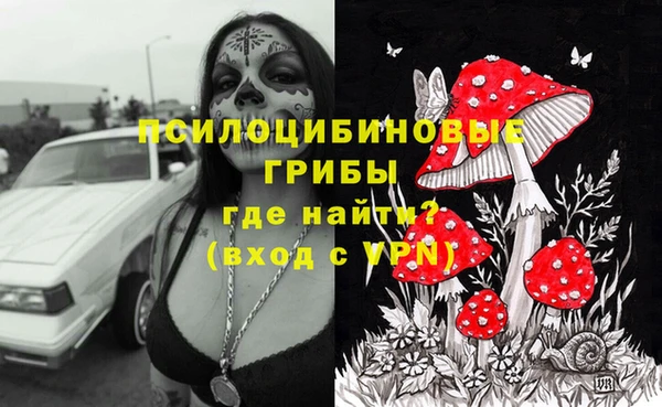 дурь Алексин