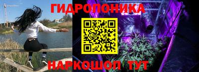 mdpv Новодвинск