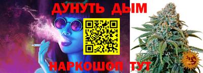mdpv Новодвинск