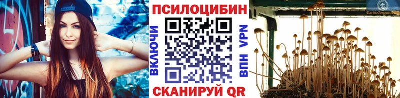 Галлюциногенные грибы Cubensis  ссылка на мегу маркетплейс  Чистополь 