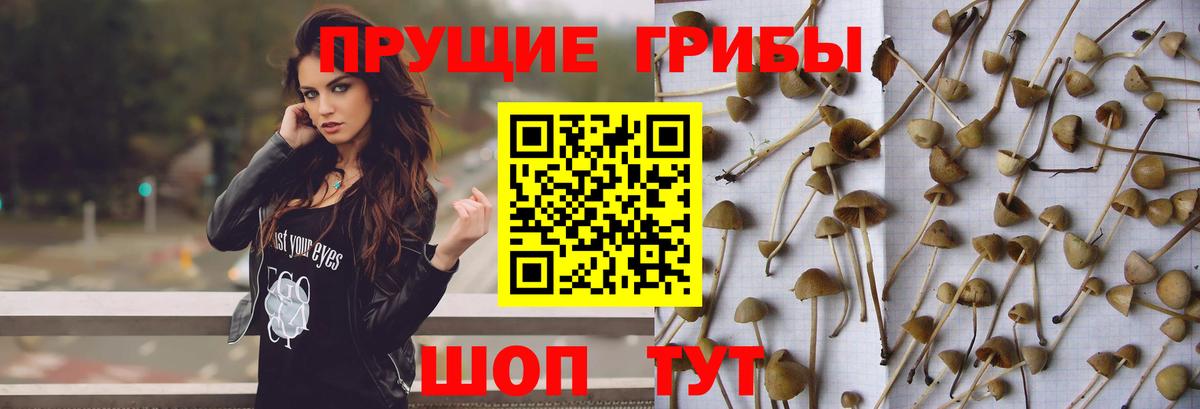 АМФ   КОКАИН  NBOMe  МЕФ   Вход с VPN  МАРИХУАНА  ГАШИШ  Чистополь  А ПВП СК  