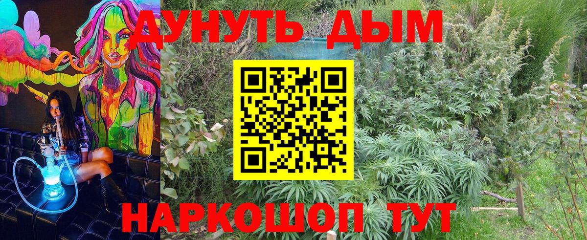Чистополь  Бошки Шишки ГИДРОПОН  Вход с VPN  МАРИХУАНА конопля 